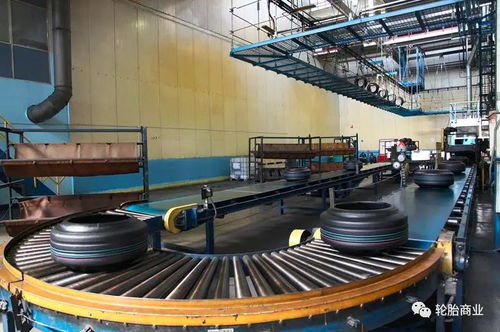 俄羅斯最大輪胎廠(chǎng)